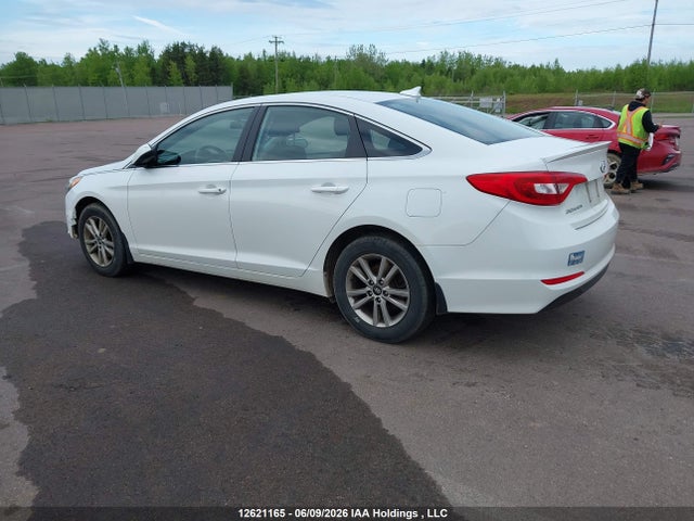 2016 Hyundai Sonata Se მანქანა იყიდება აუქციონზე, vin: 5NPE24AF1GH318460, აუქციონის ნომერი: 12621165