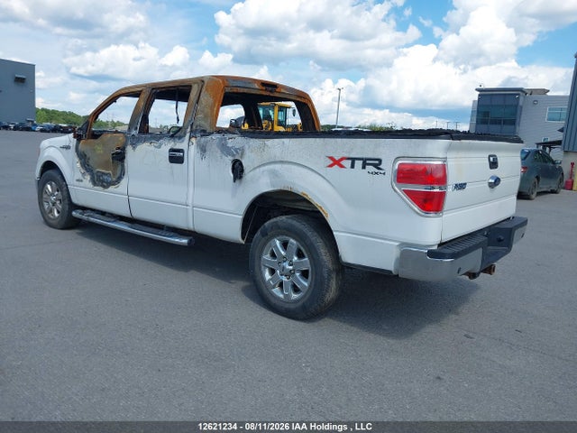 Ford F-150 Xlt 2014 1FTFW1ETXEFB04274 Image 3