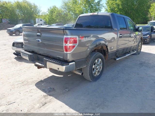 12621239 :رقم المزاد ، 1FTFW1EF7DFD57626 vin ، 2013 Ford F150 Supercrew مزاد بيع
