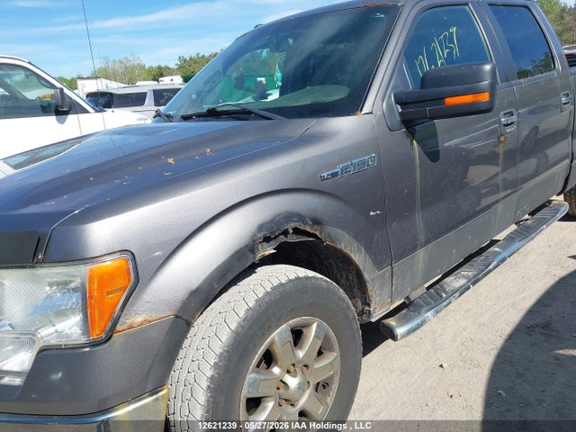 12621239 :رقم المزاد ، 1FTFW1EF7DFD57626 vin ، 2013 Ford F150 Supercrew مزاد بيع