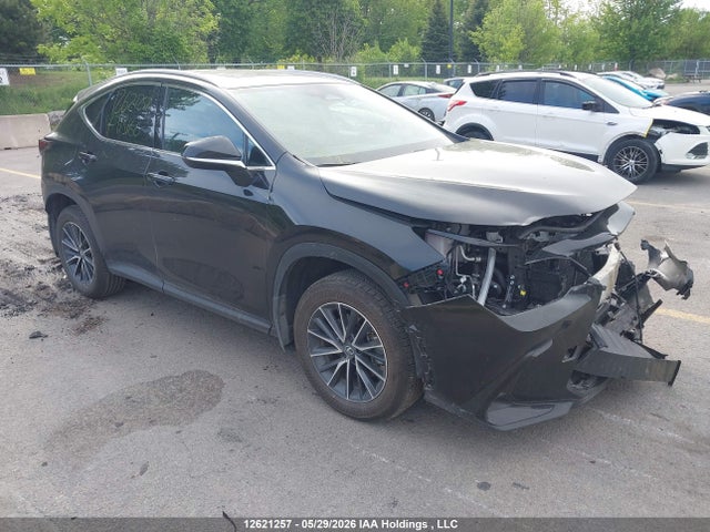 12621257 :رقم المزاد ، 2T2GGCEZ3TC113160 vin ، 2026 Lexus Nx 350 مزاد بيع