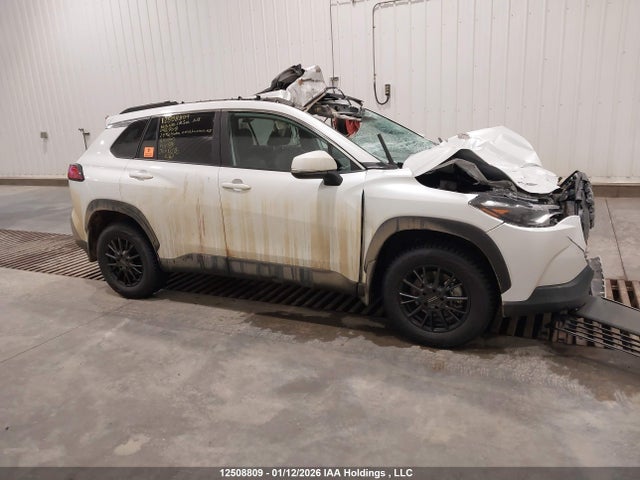 12508809 :رقم المزاد ، 7MUDAABG0RV096808 vin ، 2024 Toyota Corolla Cross Xle مزاد بيع