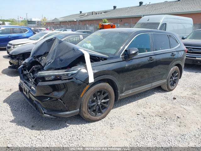Продажа на аукционе авто 2025 Honda Cr-v Hybrid, vin: 2HKRS6H72SH225600, номер лота: 12621406