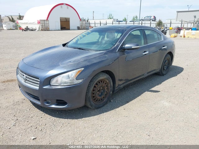 Продаж на аукціоні авто 2009 Nissan Maxima 3.5 S, vin: 1N4AA51E99C855547, номер лоту: 12621453