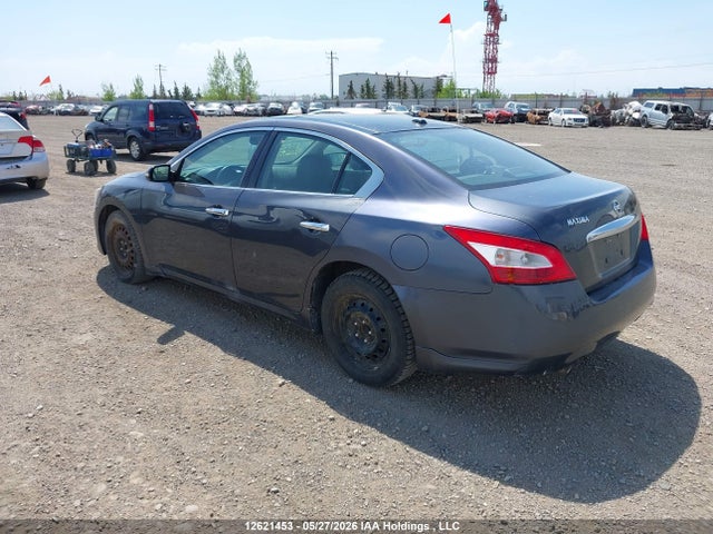 Продаж на аукціоні авто 2009 Nissan Maxima 3.5 S, vin: 1N4AA51E99C855547, номер лоту: 12621453