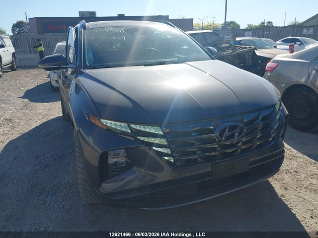 Продаж на аукціоні авто 2024 Hyundai Tucson Ultimate Awd, vin: KM8JCCD18RU151430, номер лоту: 12621466
