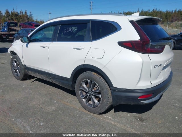 2020 Honda Cr-v Ex-l მანქანა იყიდება აუქციონზე, vin: 2HKRW2H83LH218680, აუქციონის ნომერი: 12621542