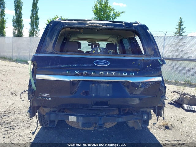 Ford Expedition Limited 2023 1FMJU2A80PEA35316 Image 6