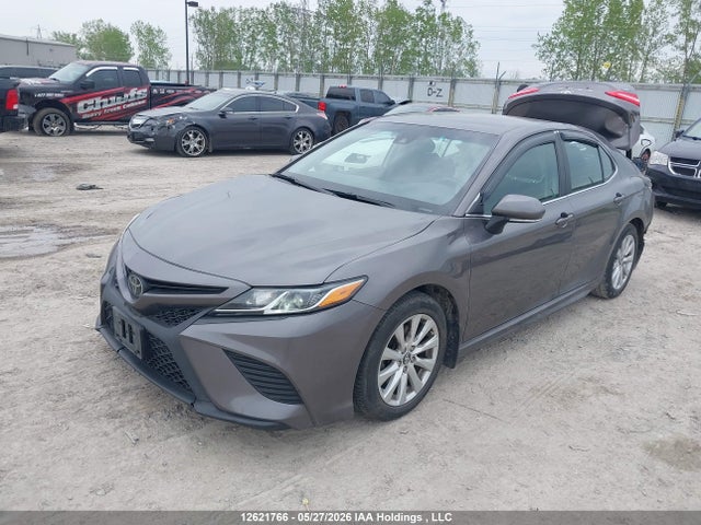 12621766 :رقم المزاد ، 4T1B11HK1KU216366 vin ، 2019 Toyota Camry L/le/xle/se/xse مزاد بيع