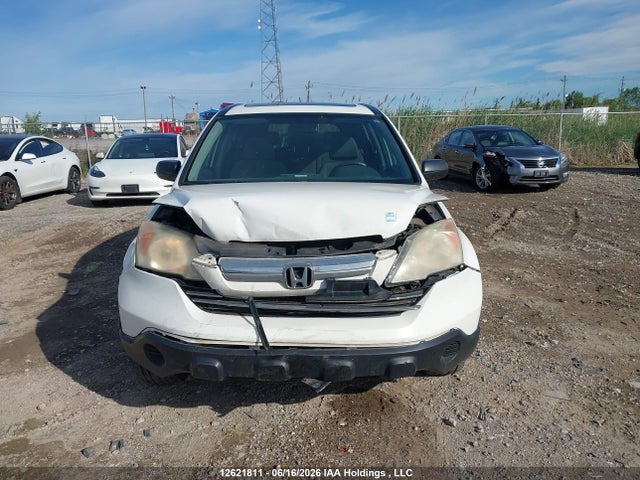 2008 Honda Cr-v Ex მანქანა იყიდება აუქციონზე, vin: 5J6RE48548L810798, აუქციონის ნომერი: 12621811