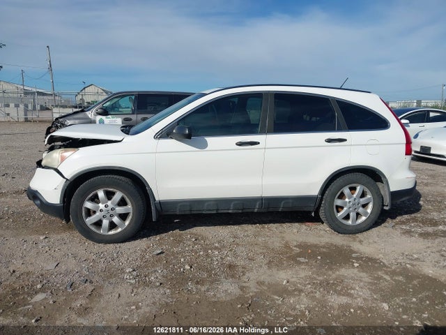 2008 Honda Cr-v Ex მანქანა იყიდება აუქციონზე, vin: 5J6RE48548L810798, აუქციონის ნომერი: 12621811