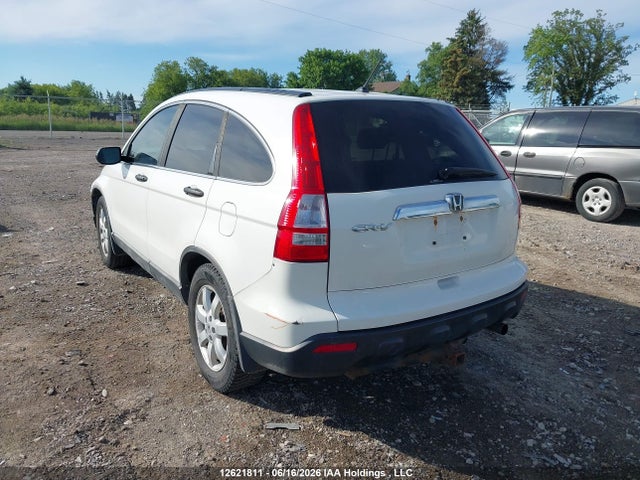 2008 Honda Cr-v Ex მანქანა იყიდება აუქციონზე, vin: 5J6RE48548L810798, აუქციონის ნომერი: 12621811