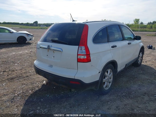 2008 Honda Cr-v Ex მანქანა იყიდება აუქციონზე, vin: 5J6RE48548L810798, აუქციონის ნომერი: 12621811