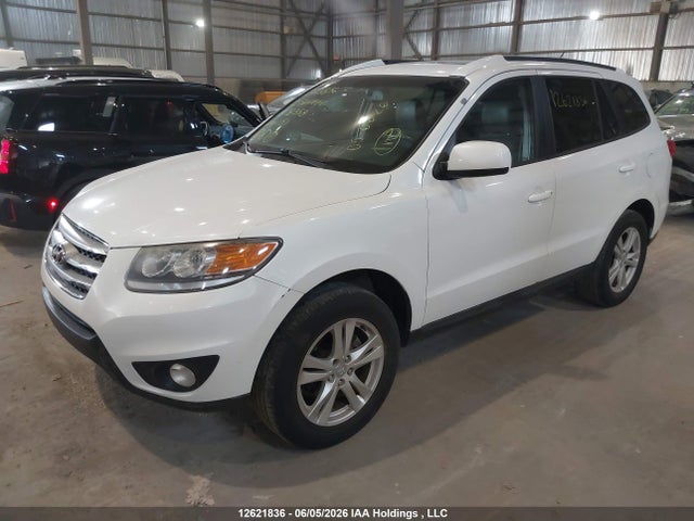 Продаж на аукціоні авто 2012 Hyundai Santa Fe, vin: 5XYZGDAG1CG138358, номер лоту: 12621836