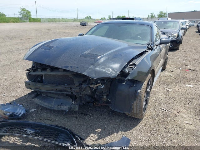 Продаж на аукціоні авто 2019 Ford Mustang Ecoboost, vin: 1FA6P8TH6K5154679, номер лоту: 12621851
