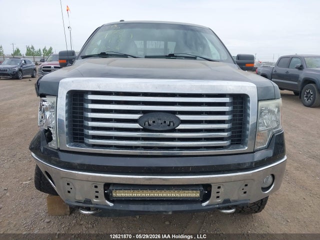 12621870 :رقم المزاد ، 1FTFX1EV4AFD05984 vin ، 2010 Ford F-150 Fx4/lariat/svt Raptor/xl/xlt مزاد بيع
