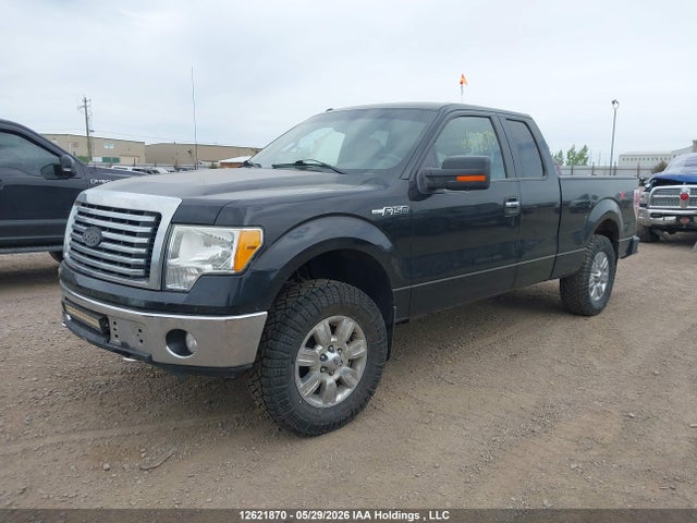 12621870 :رقم المزاد ، 1FTFX1EV4AFD05984 vin ، 2010 Ford F-150 Fx4/lariat/svt Raptor/xl/xlt مزاد بيع