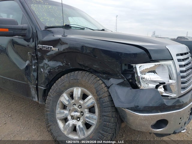 12621870 :رقم المزاد ، 1FTFX1EV4AFD05984 vin ، 2010 Ford F-150 Fx4/lariat/svt Raptor/xl/xlt مزاد بيع