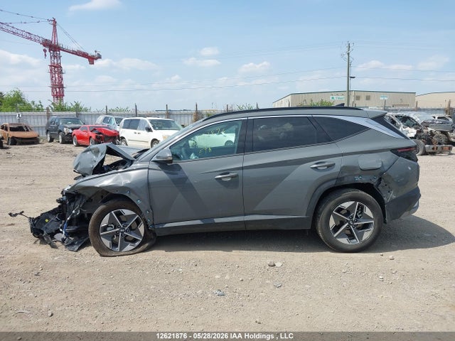 12621876 :رقم المزاد ، 5NMJCCDEXSH498326 vin ، 2025 Hyundai Tucson N Line مزاد بيع