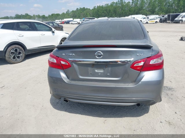 1N4AL3AP1GN306510 Nissan Altima