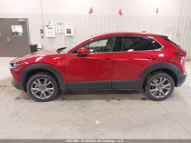 Mazda Cx-30 Premium 2025 3MVDMBDM4SM871819 Image 15