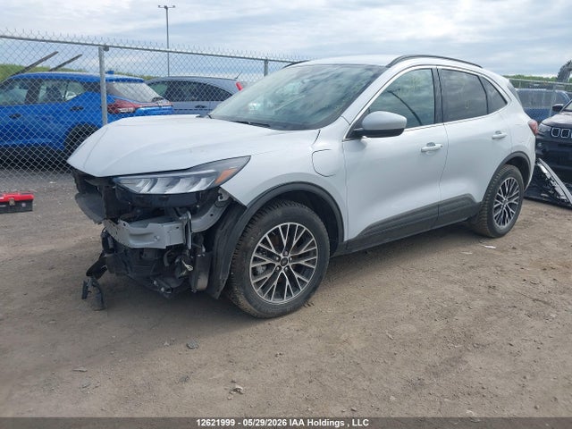 Auction sale of the 2025 Ford Escape, vin: 1FMCU0E11SUB26362, lot number: 12621999