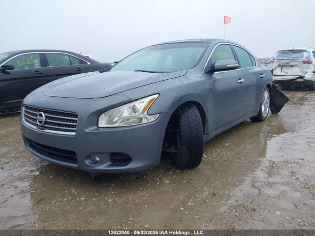 12622040 :رقم المزاد ، 1N4AA5APXAC834423 vin ، 2010 Nissan Maxima S/sv مزاد بيع