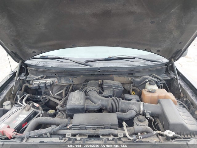 Продажа на аукционе авто 2010 Ford F-150 Fx4/lariat/svt Raptor/xl/xlt, vin: 1FTFX1EV3AFA79937, номер лота: 12607958