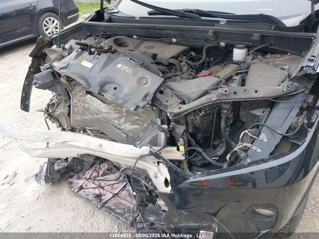 Aukcja sprzedaży 2019 Toyota Rav4 Xle, vin: 2T3R1RFV0KC050991, numer aukcji: 12604938