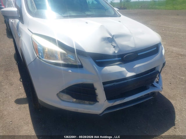 Продажа на аукционе авто 2013 Ford Escape Se, vin: 1FMCU0GX6DUA50268, номер лота: 12622081