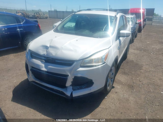Продажа на аукционе авто 2013 Ford Escape Se, vin: 1FMCU0GX6DUA50268, номер лота: 12622081