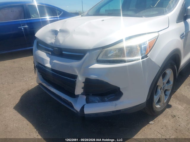 Продажа на аукционе авто 2013 Ford Escape Se, vin: 1FMCU0GX6DUA50268, номер лота: 12622081