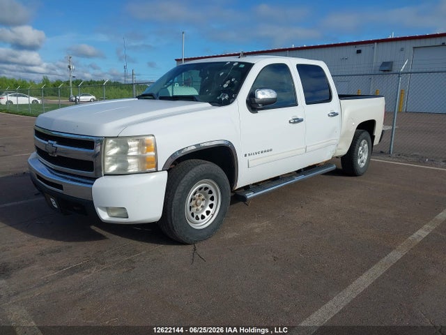 12622144 :رقم المزاد ، 2GCEK133291100310 vin ، 2009 Chevrolet Silverado K1500 مزاد بيع