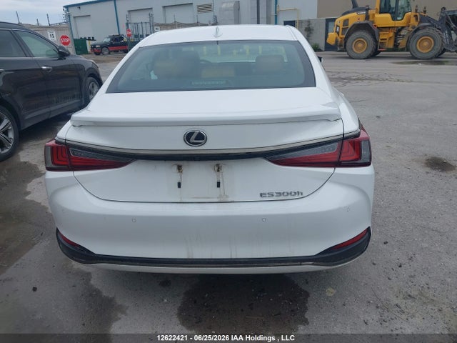 Продажа на аукционе авто 2023 Lexus Es 300h 300h, vin: 58AB21B1XPU013909, номер лота: 12622421