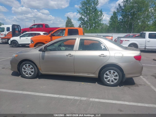 2010 Toyota Corolla Ce მანქანა იყიდება აუქციონზე, vin: 2T1BU4EE2AC228761, აუქციონის ნომერი: 12622583