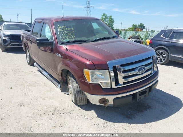 12622603 :رقم المزاد ، 1FTFW1CV5AFD69327 vin ، 2010 Ford F-150 Xlt مزاد بيع
