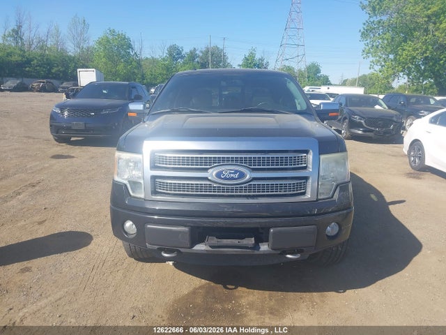 Auction sale of the 2011 Ford F-150 Platinum, vin: 1FTFW1E65BFA66720, lot number: 12622666