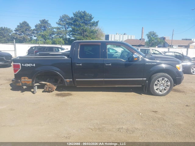 Auction sale of the 2011 Ford F-150 Platinum, vin: 1FTFW1E65BFA66720, lot number: 12622666