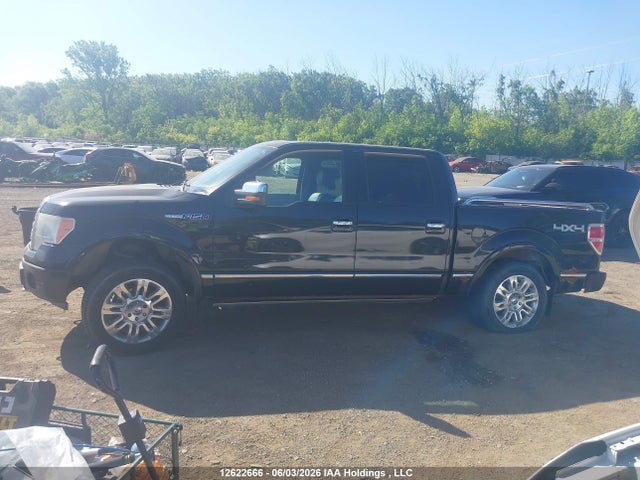 Auction sale of the 2011 Ford F-150 Platinum, vin: 1FTFW1E65BFA66720, lot number: 12622666