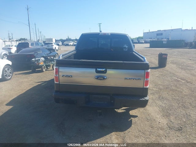 Auction sale of the 2011 Ford F-150 Platinum, vin: 1FTFW1E65BFA66720, lot number: 12622666