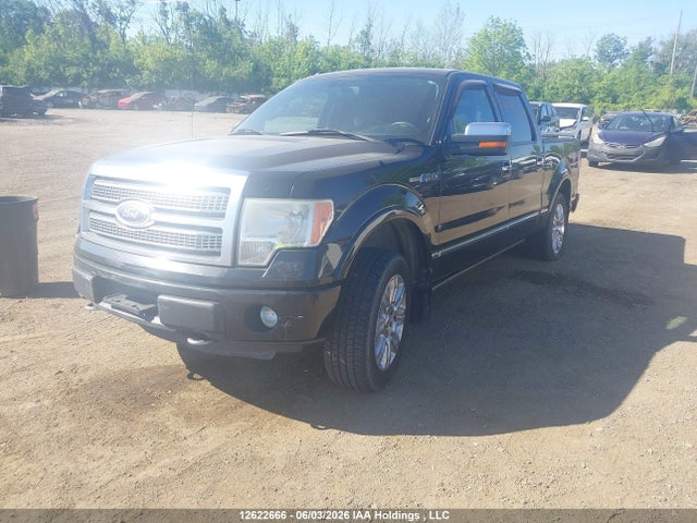 Auction sale of the 2011 Ford F-150 Platinum, vin: 1FTFW1E65BFA66720, lot number: 12622666
