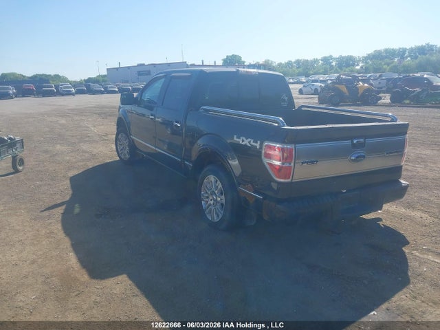 Auction sale of the 2011 Ford F-150 Platinum, vin: 1FTFW1E65BFA66720, lot number: 12622666