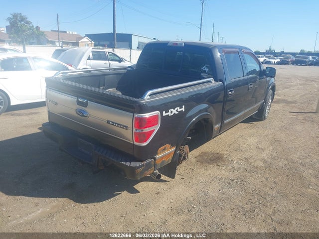 Auction sale of the 2011 Ford F-150 Platinum, vin: 1FTFW1E65BFA66720, lot number: 12622666