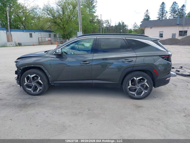 Продаж на аукціоні авто 2024 Hyundai Tucson Ultimate Plug-in Hybrid Awd, vin: KM8JDDD23RU203753, номер лоту: 12622738