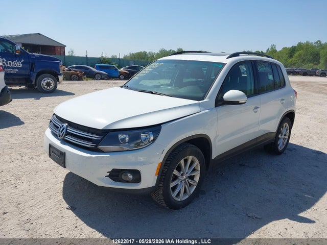 WVGJV7AXXFW535297 Volkswagen Tiguan Comfortline/highline/special Edition/trendline