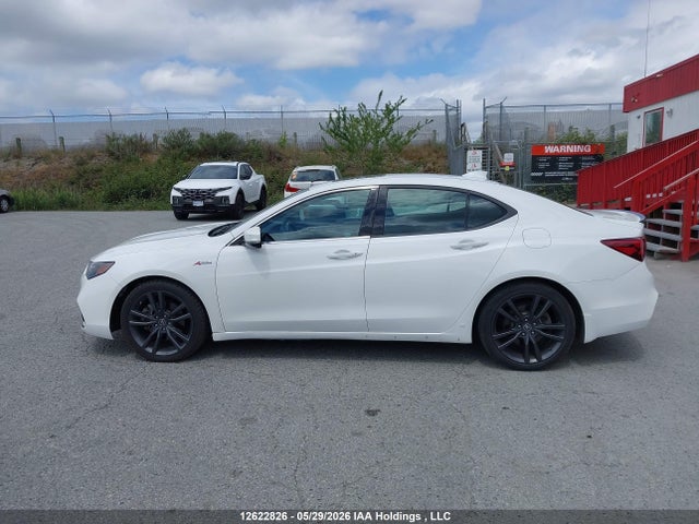 12622826 :رقم المزاد ، 19UUB1F81JA800348 vin ، 2018 Acura Tlx Elite مزاد بيع