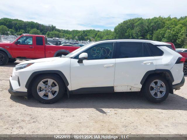 12622855 :رقم المزاد ، 2T3RWRFV3SW274272 vin ، 2025 Toyota Rav4 مزاد بيع