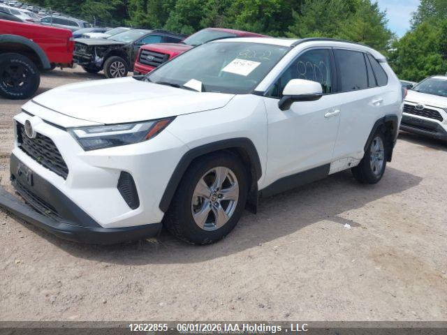 12622855 :رقم المزاد ، 2T3RWRFV3SW274272 vin ، 2025 Toyota Rav4 مزاد بيع