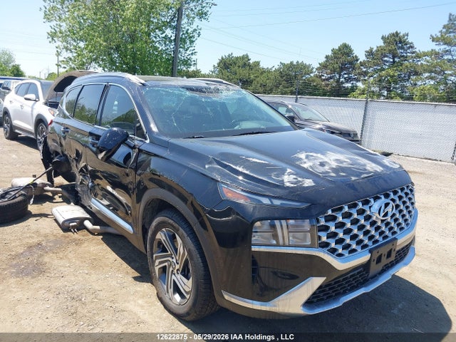 Продажа на аукционе авто 2021 Hyundai Santa Fe Sel, vin: 5NMS3DAJ7MH356689, номер лота: 12622875