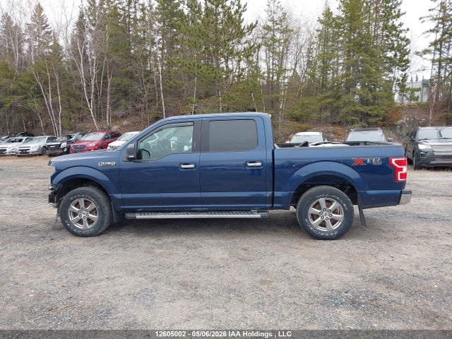 Продажа на аукционе авто 2019 Ford F-150 Xlt, vin: 1FTEW1EP4KKD86445, номер лота: 12605002